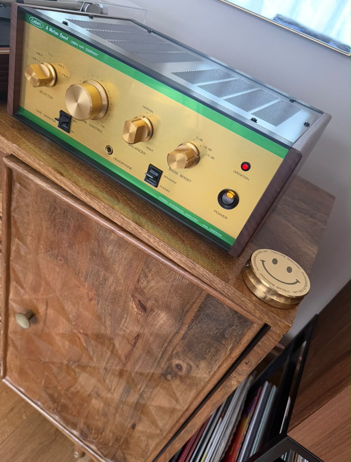 The Leben CS300XS amplifier, close up