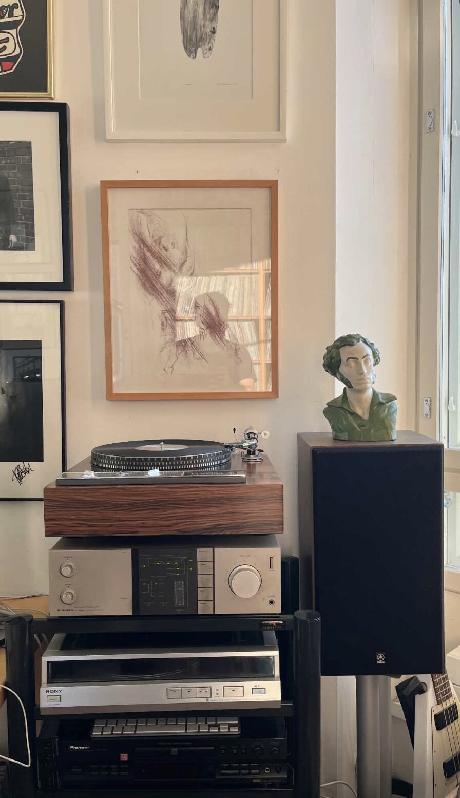 Gros plan sur la platine bois, l'ampli argenté et un buste vert