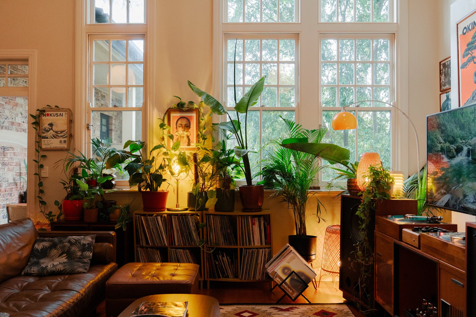 Vue large du coin plantes et bibliothèque de vinyles, depuis le canapé