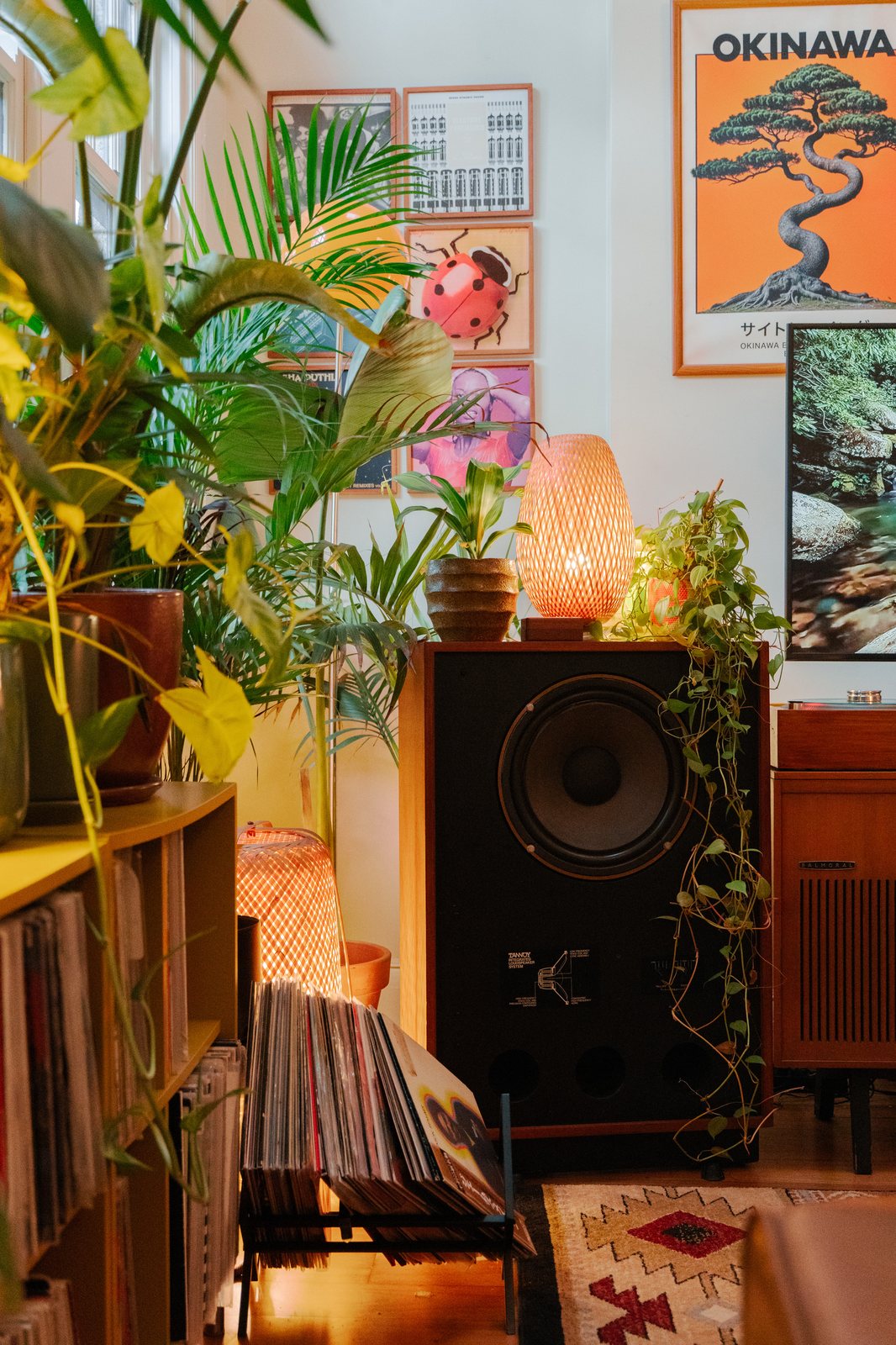 Feuillage dense près de l’enceinte Tannoy et des étagères de vinyles
