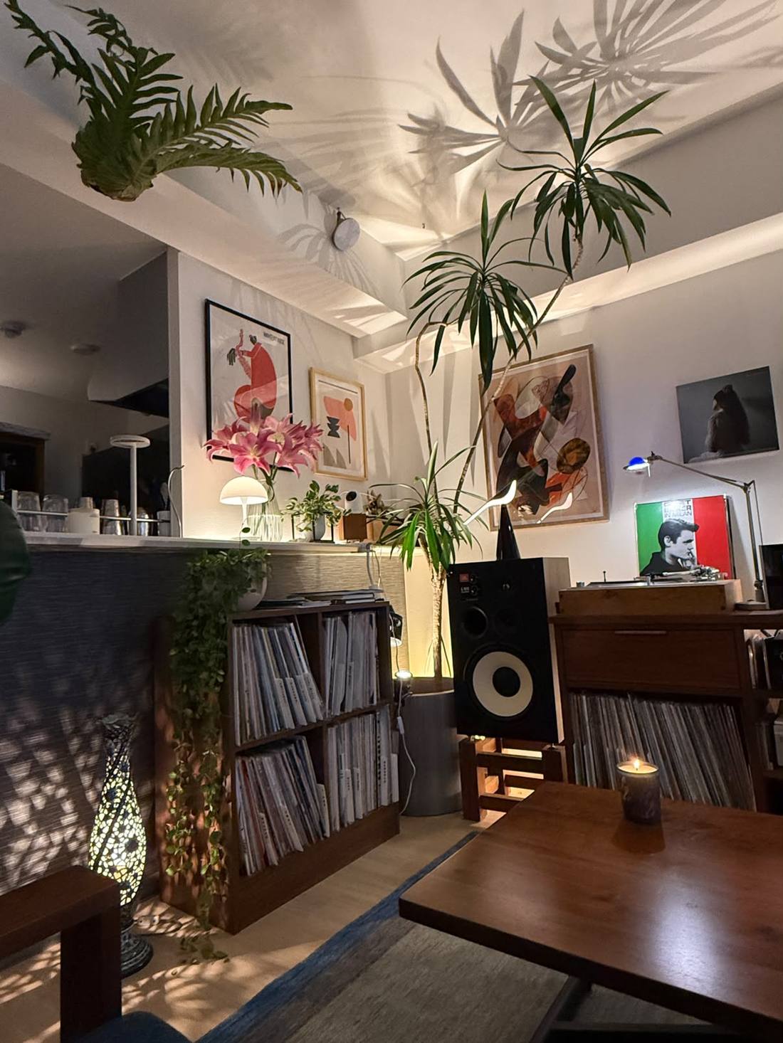 Vue depuis le bar, lys roses, bibliothèque en noyer, platine, ombres de feuilles au plafond