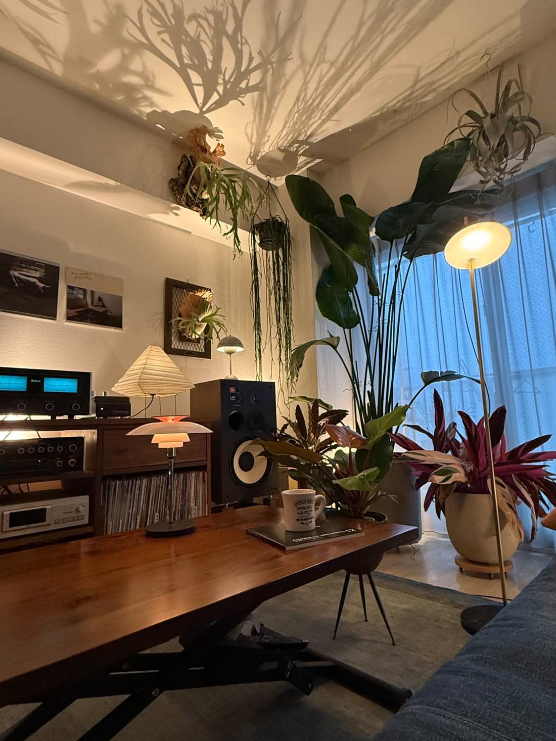 Amplificateur McIntosh aux voyants bleus, enceinte JBL, plantes et lampe allumée